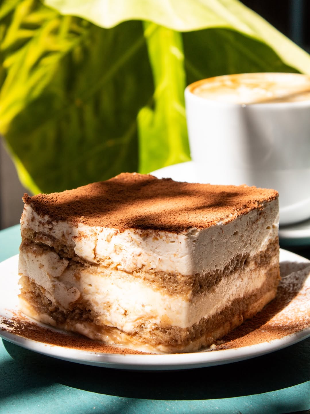 Cafés de especialidad